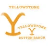 Yellowstone Logo Sticker Assorted Pack Of 3
